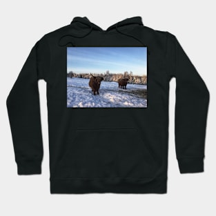 Scottish Highland Cattle Cows 2224 Hoodie